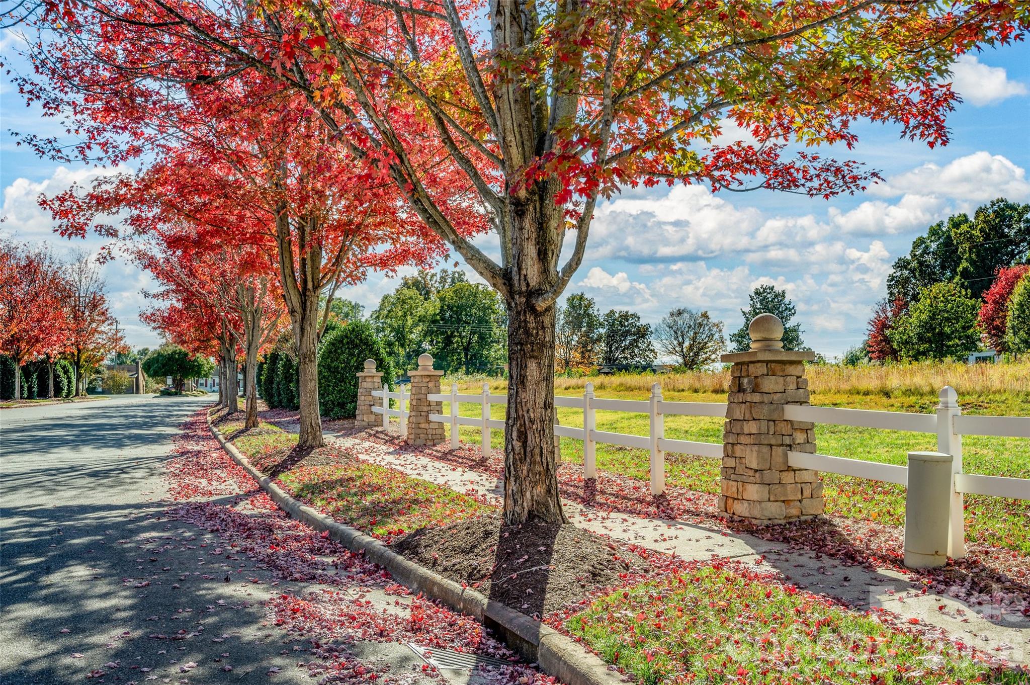 159 Water Oak Drive