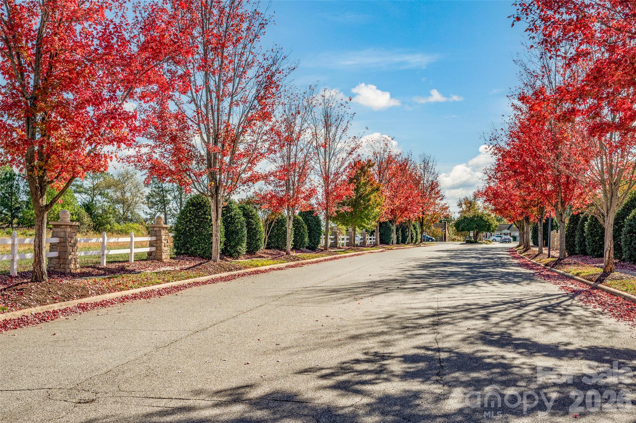 159 Water Oak Drive