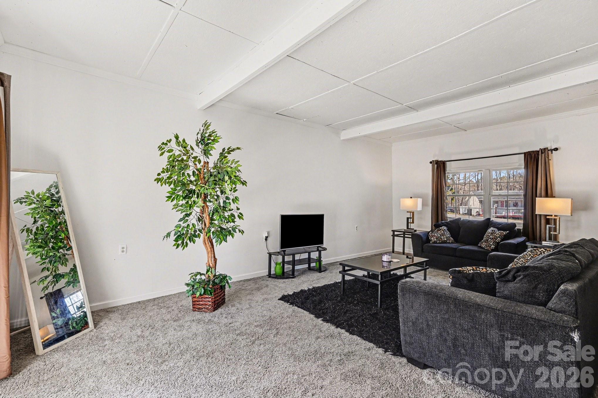 4203 Sunflower Court