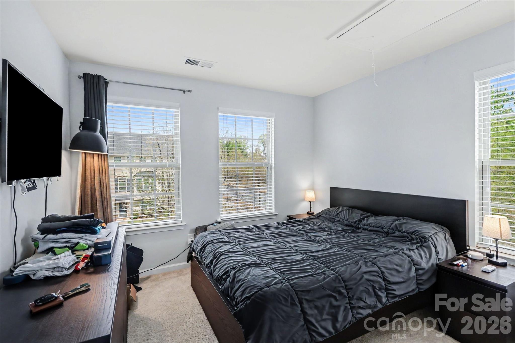 4011 Zilker Park Drive