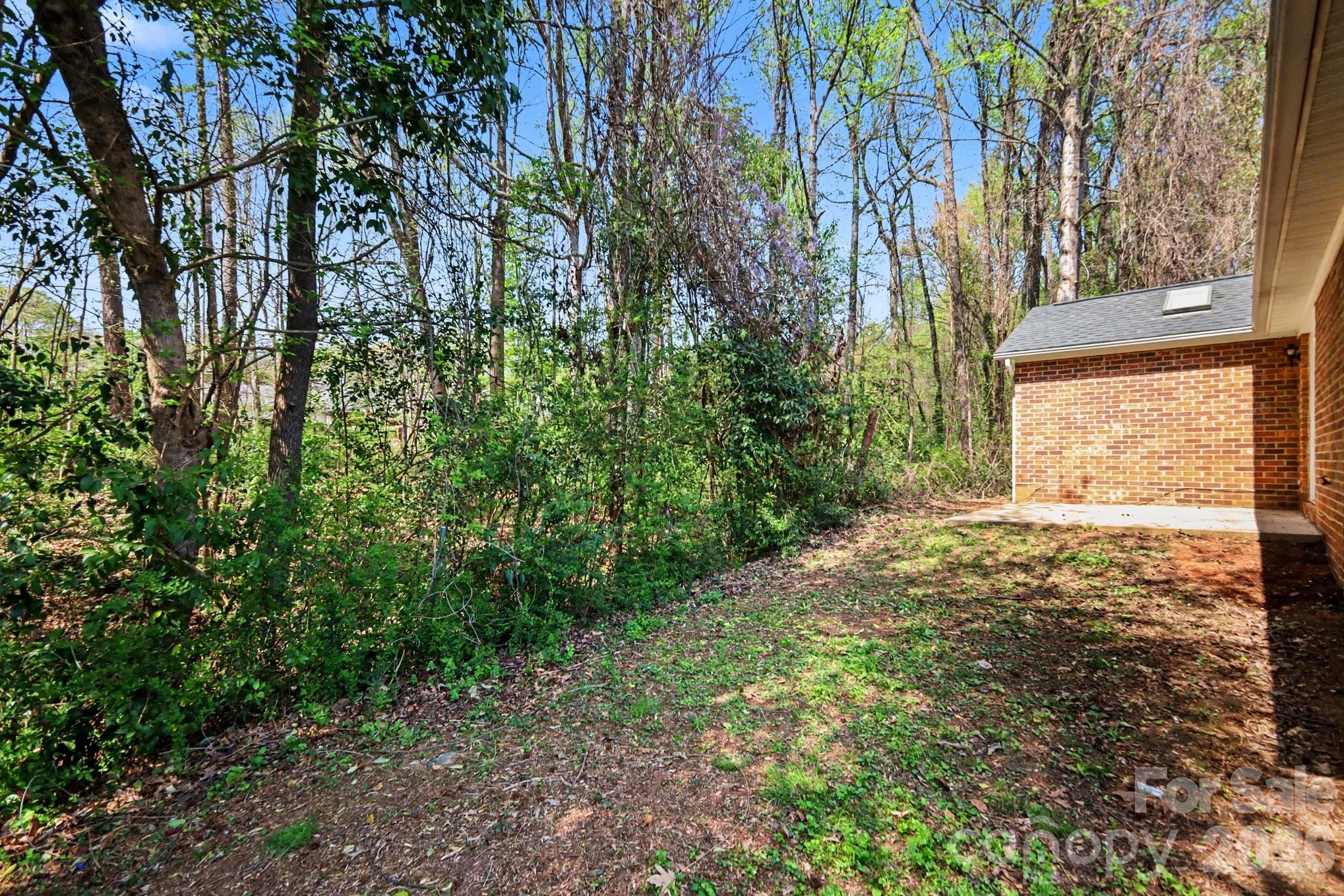1117 Capps Hollow Drive