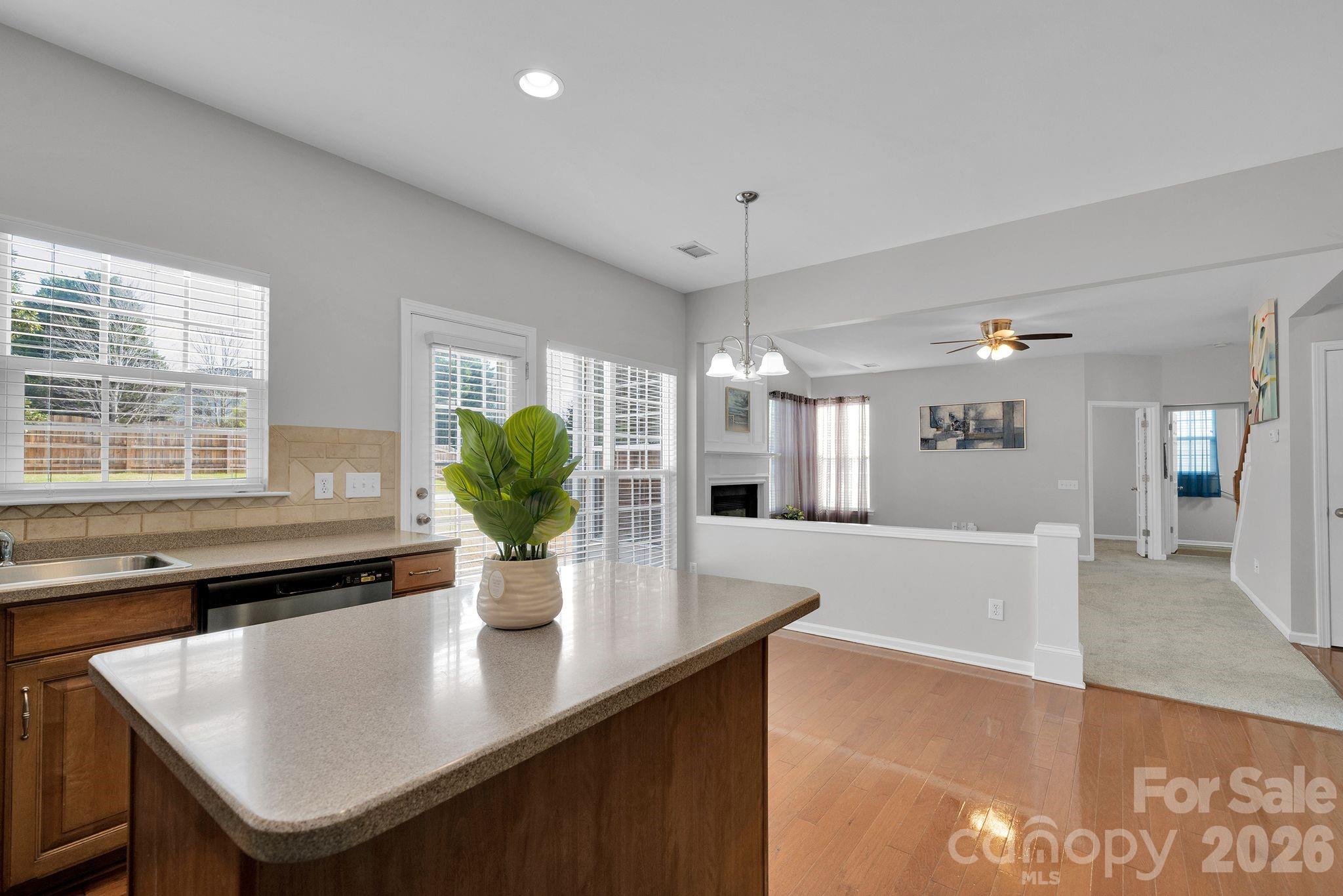 1920 Arbor Vista Drive