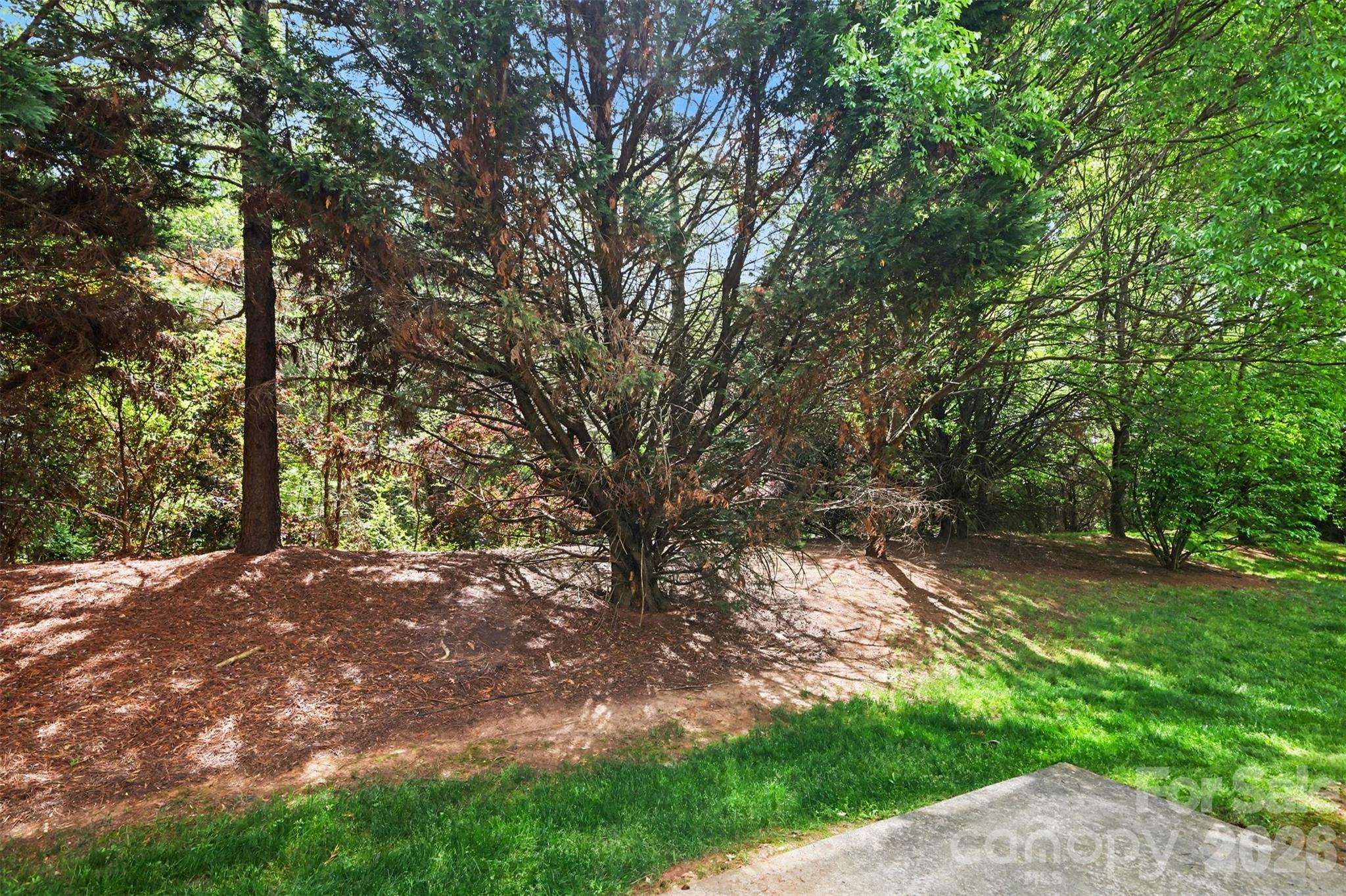 13504 Calloway Glen Drive