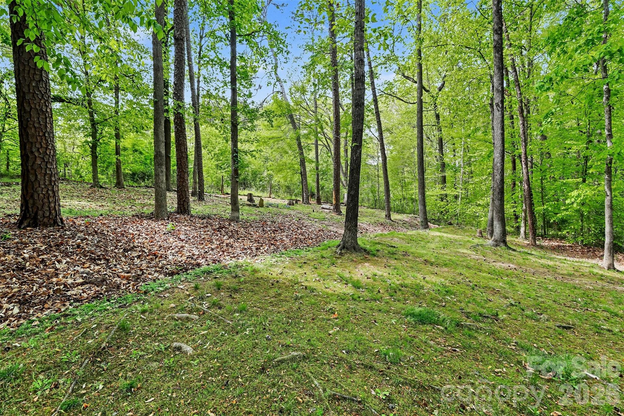 12405 Mallard Ridge Drive