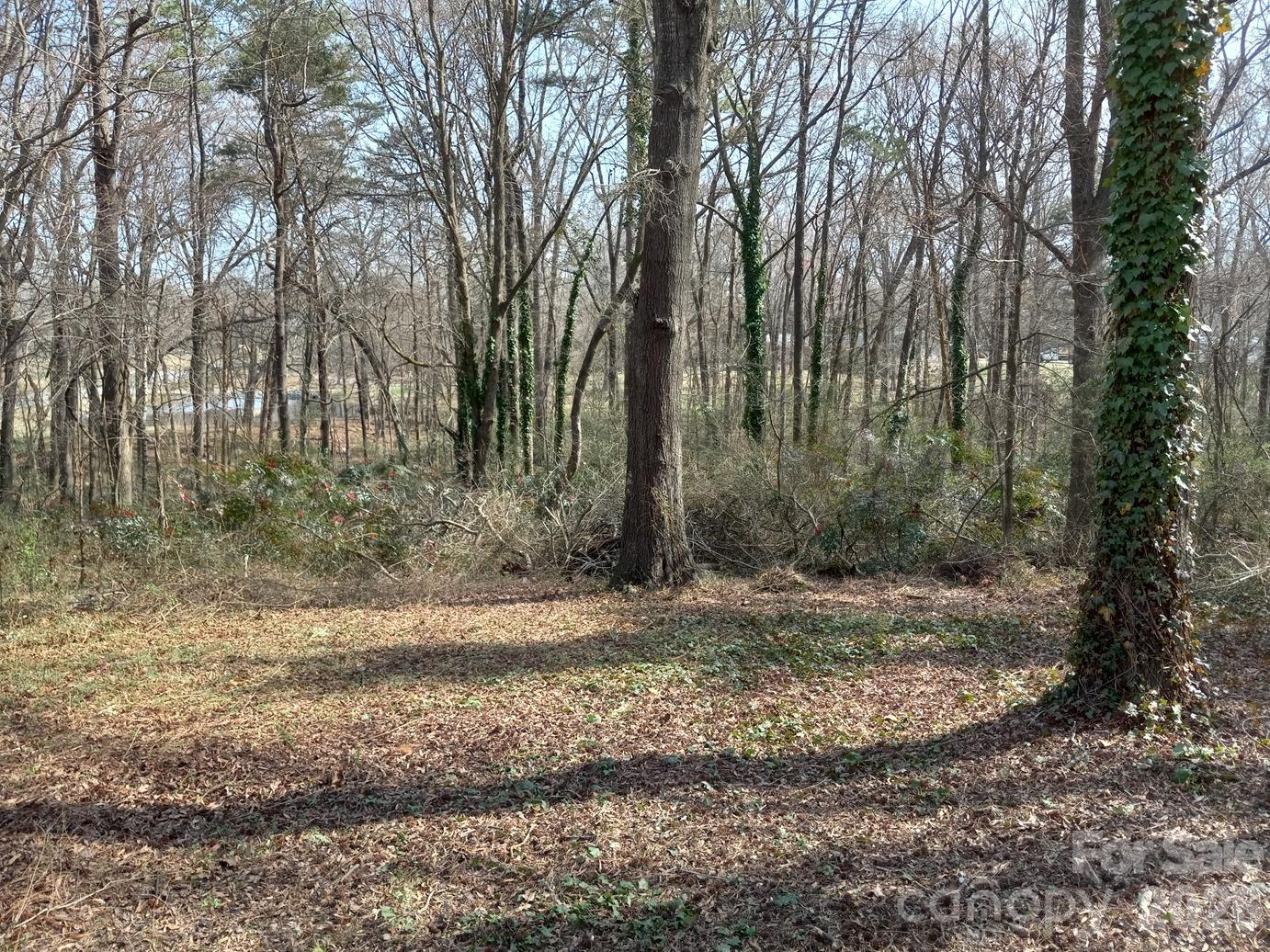 831 W Unionville Indian Trail Road