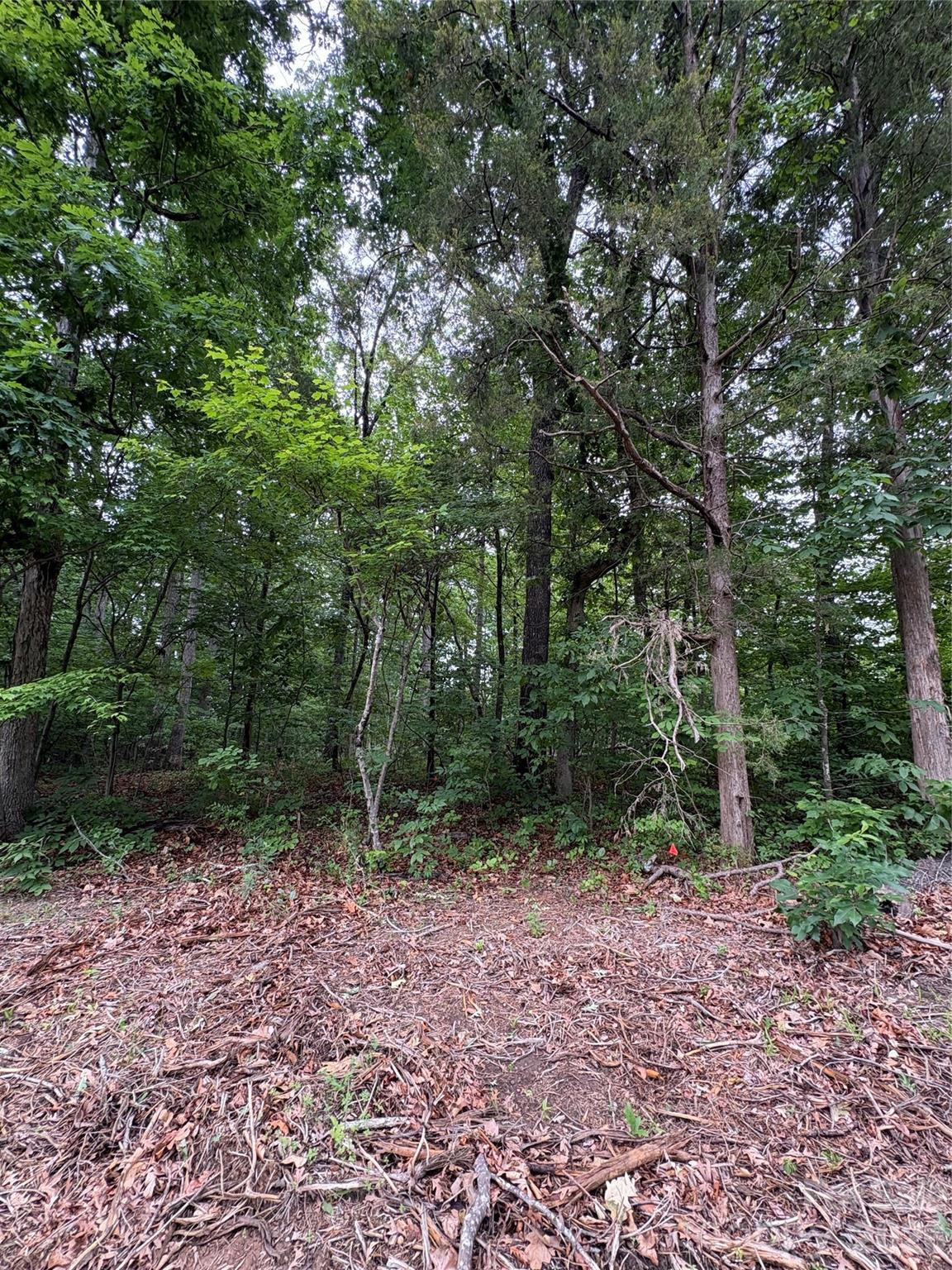 12349 Hartwood Road