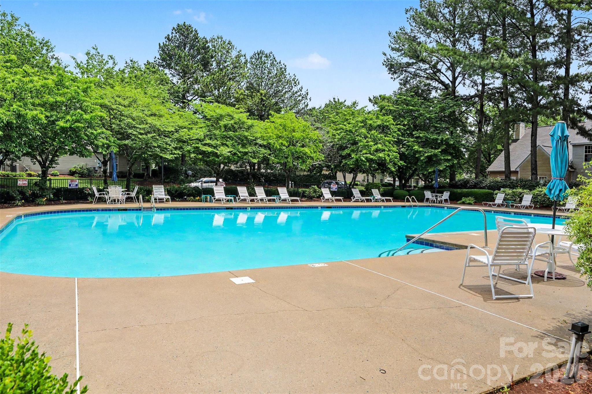 5833 Cougar Lane