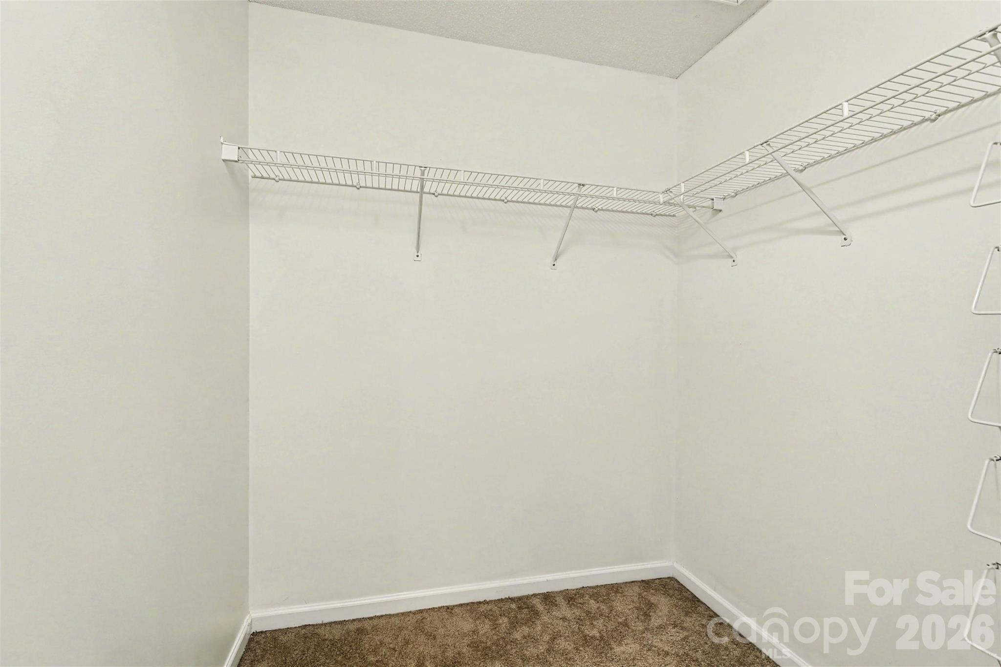5833 Cougar Lane