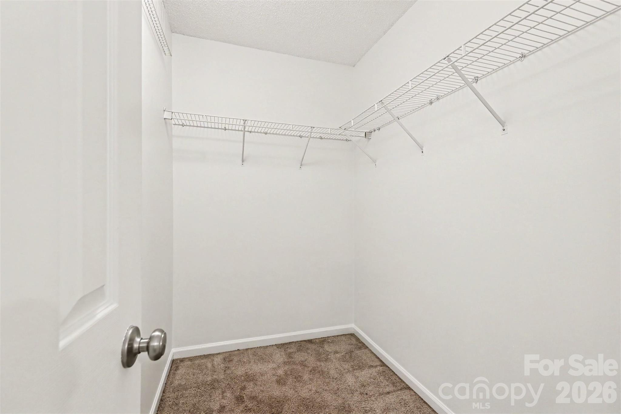 5833 Cougar Lane