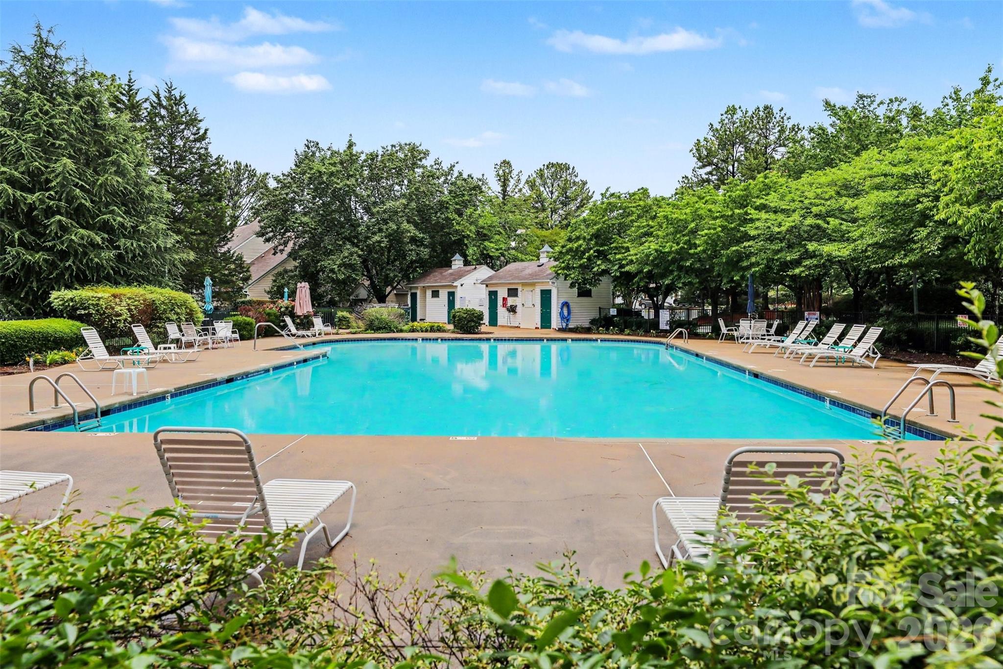 5833 Cougar Lane