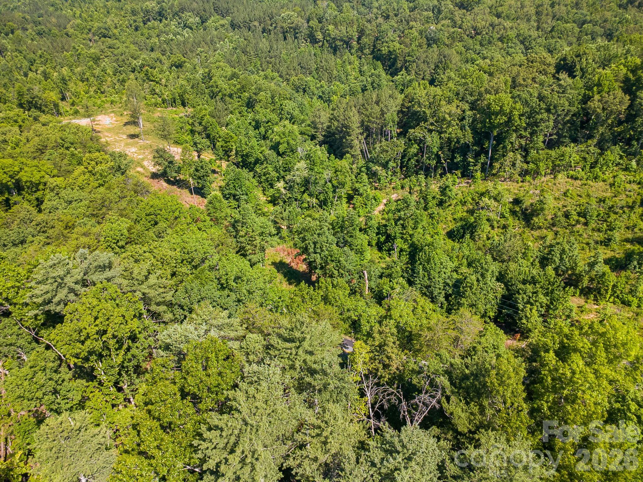 000 Clark Road
