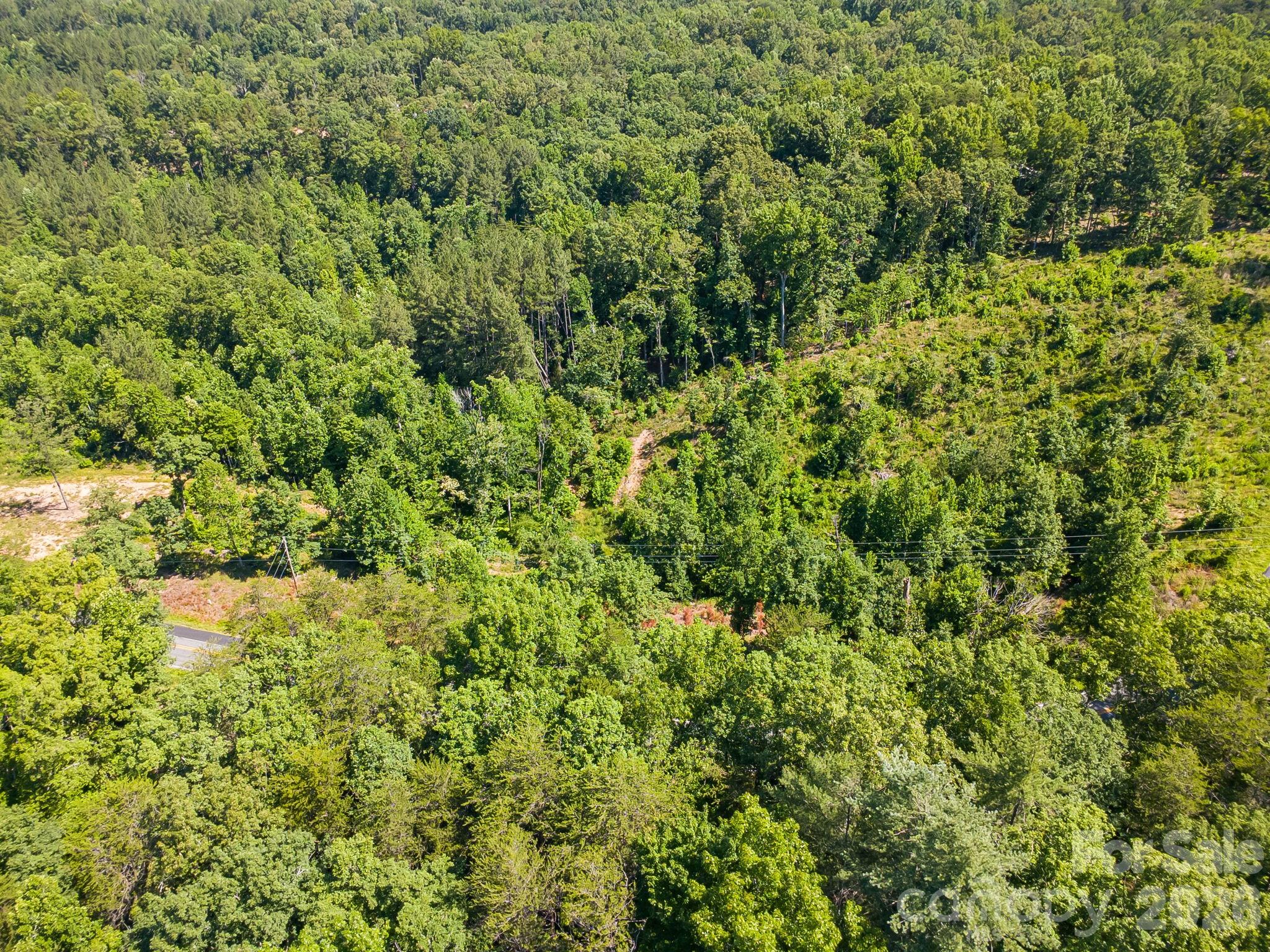 000 Clark Road