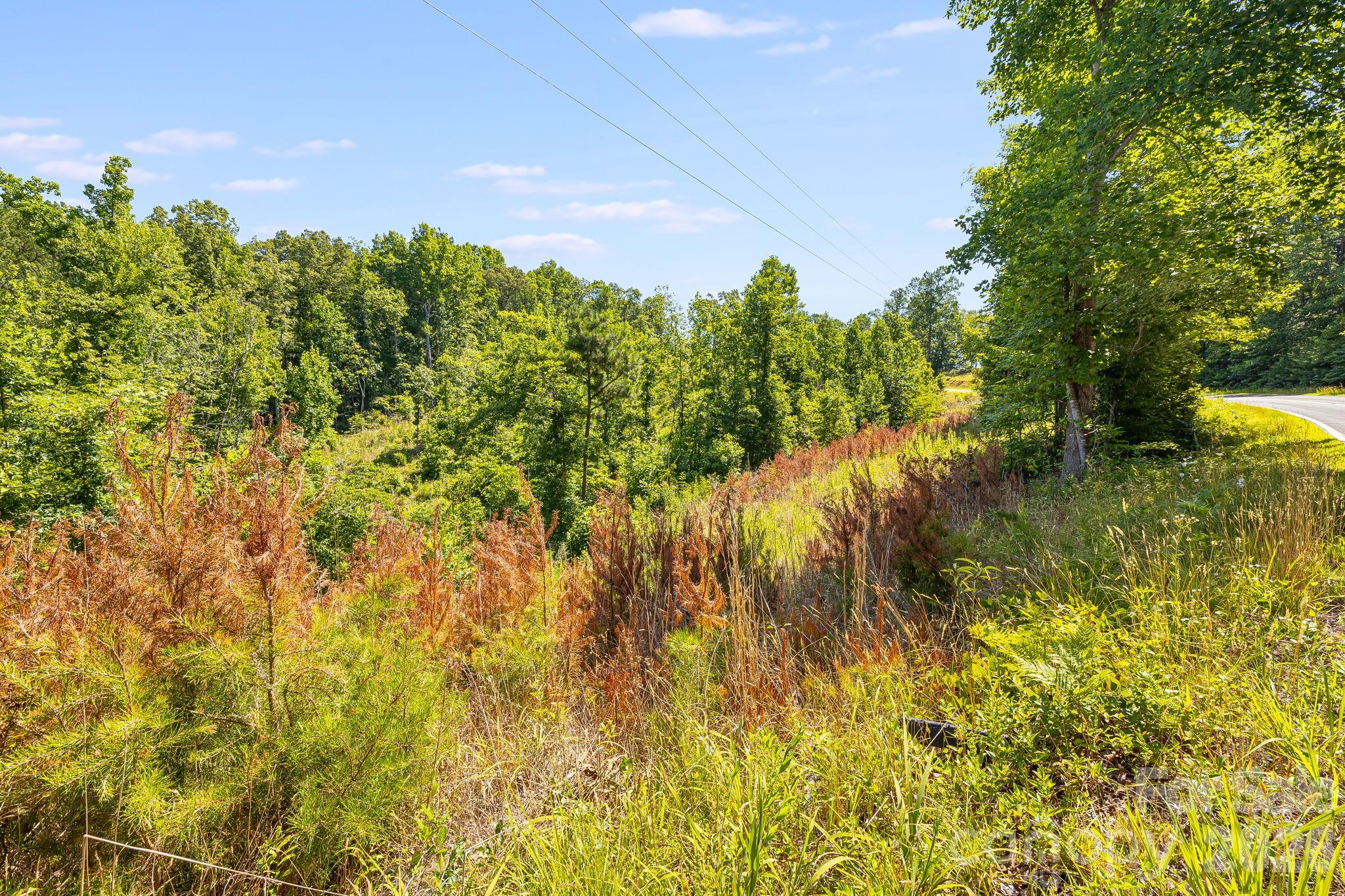 000 Clark Road