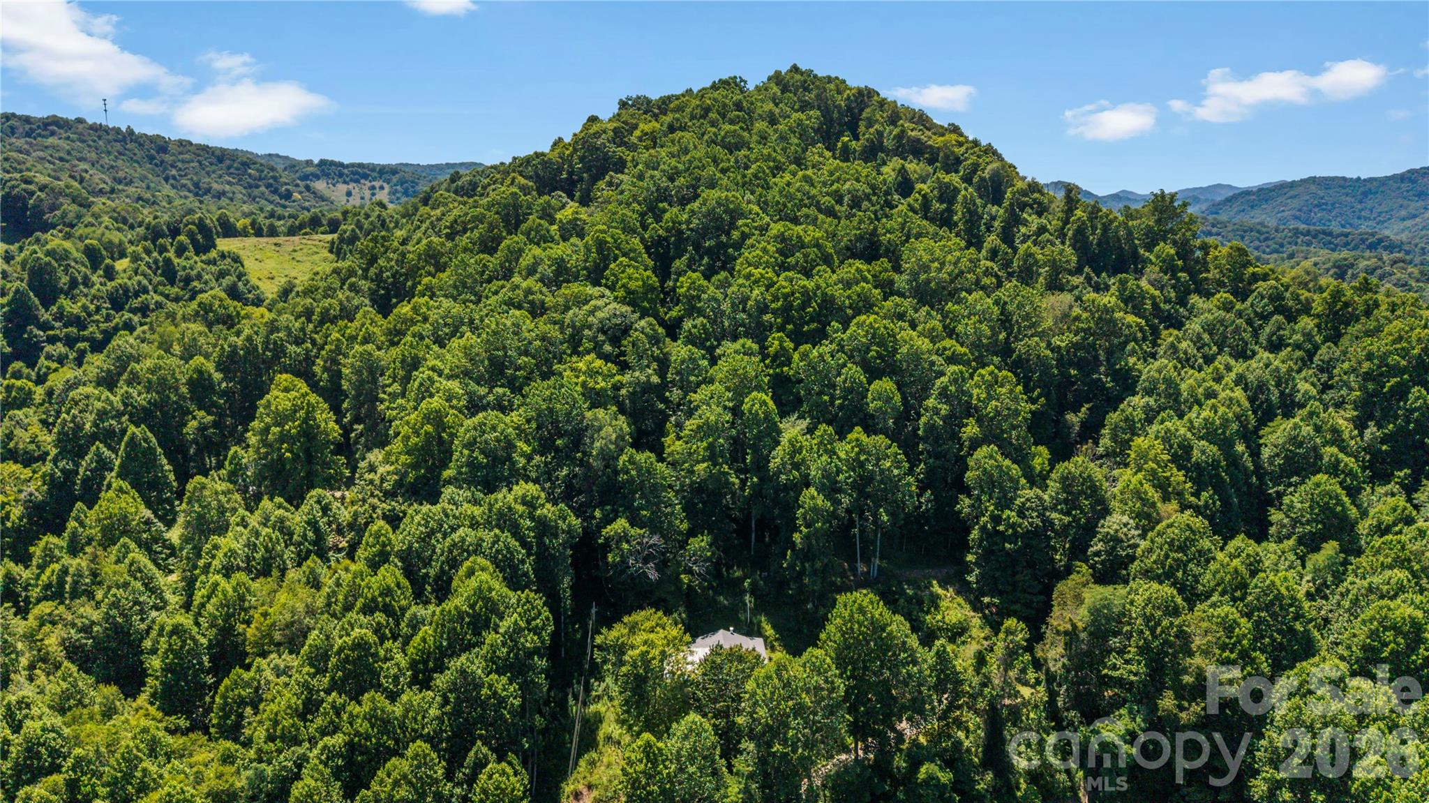 2879 Chandler Creek Road
