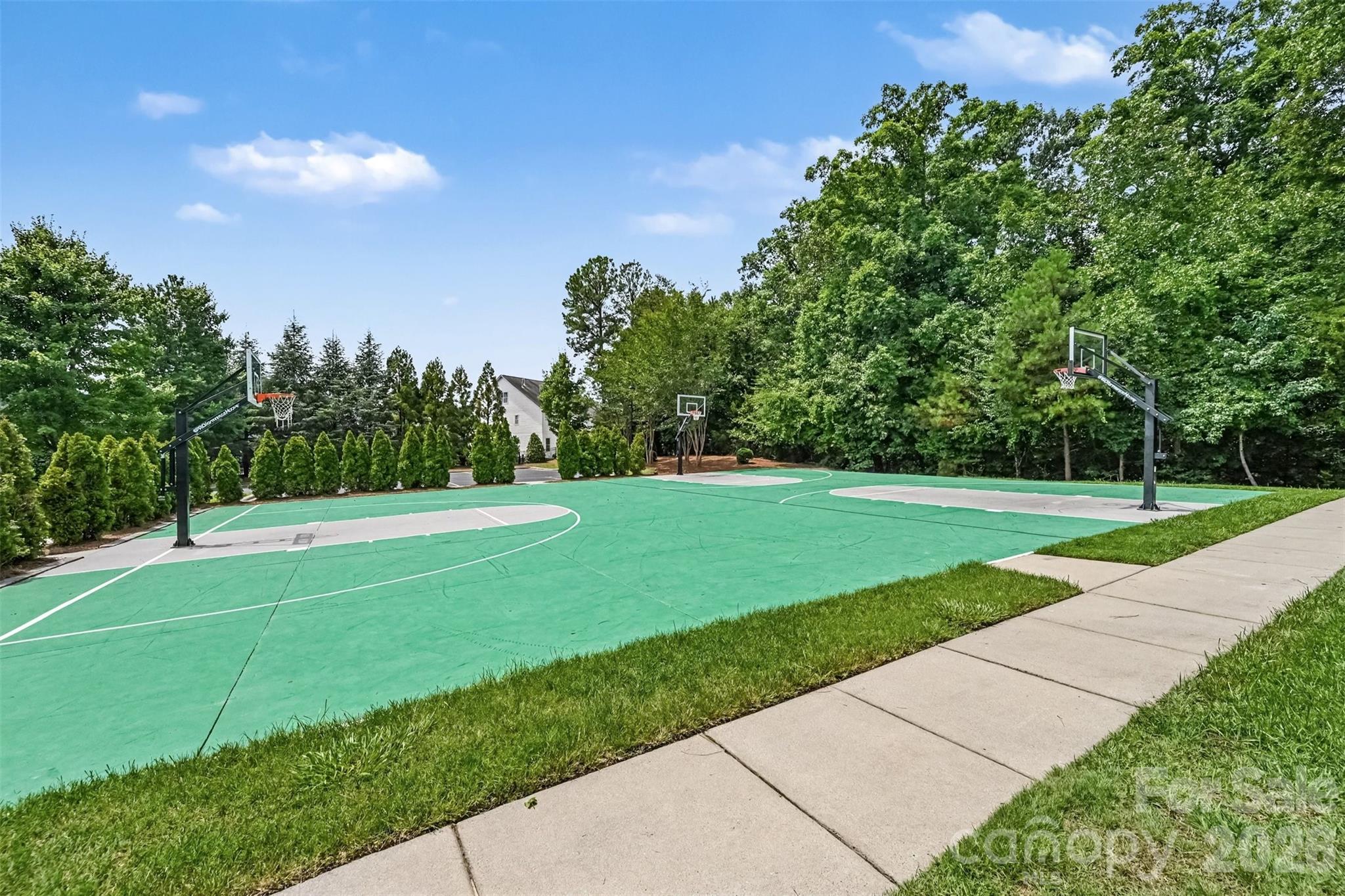 2316 Celandine Way