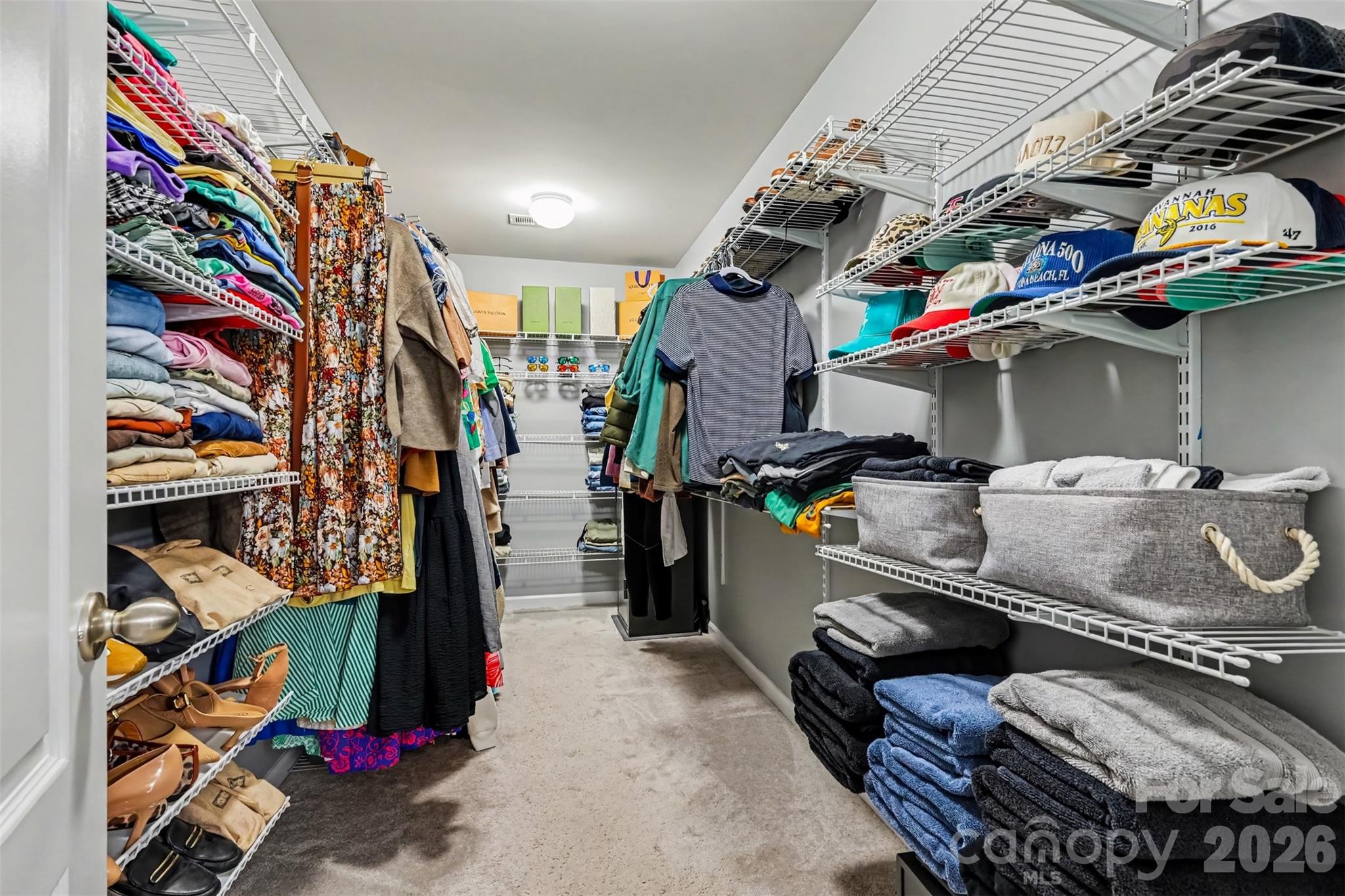437 Zoe Bee Drive