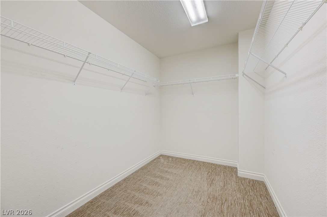 2057 Self Portrait Street