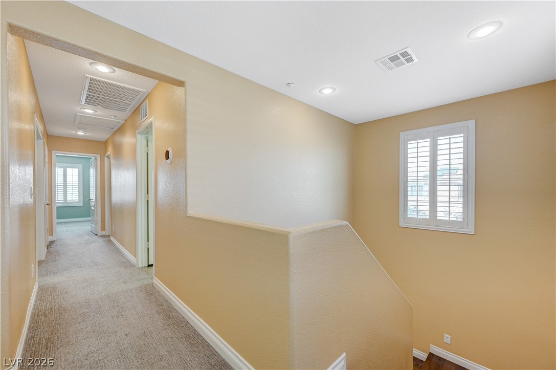 2057 Self Portrait Street