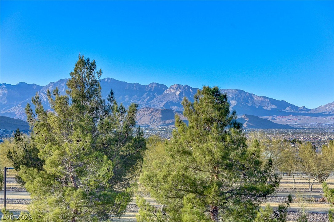 9050 West Warm Springs Road 2094