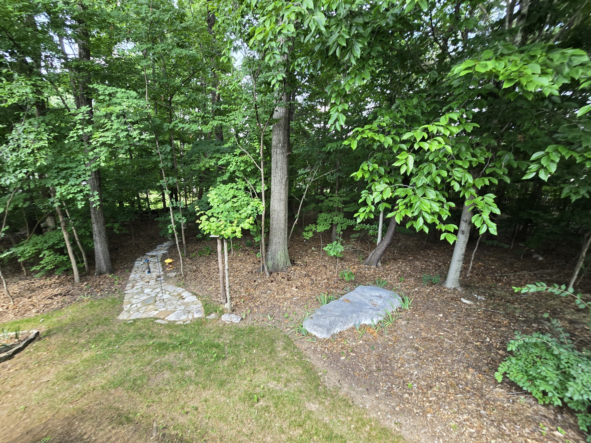3049 Brookview Forest Dr