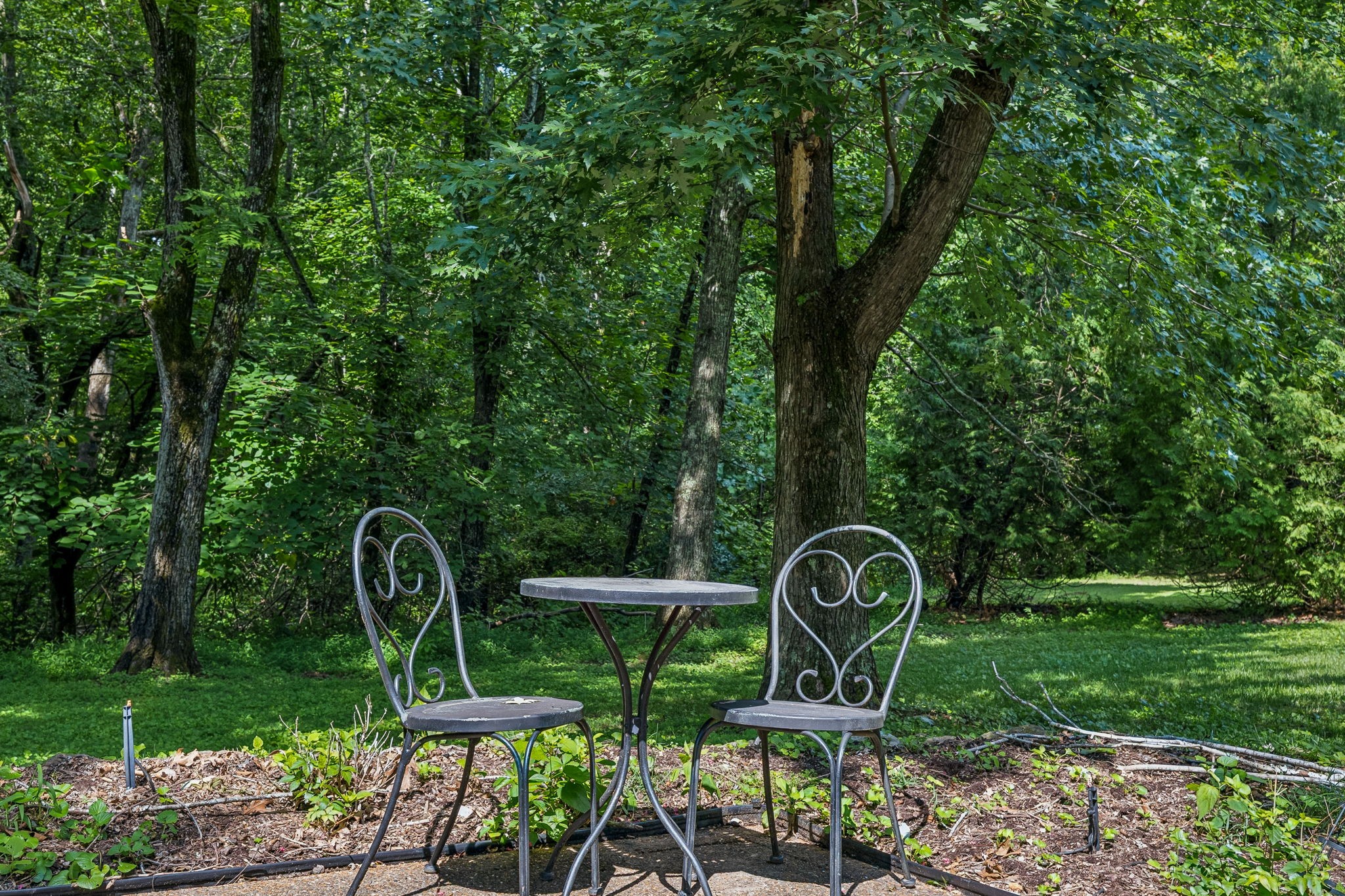 7016 Lama Terra Ct