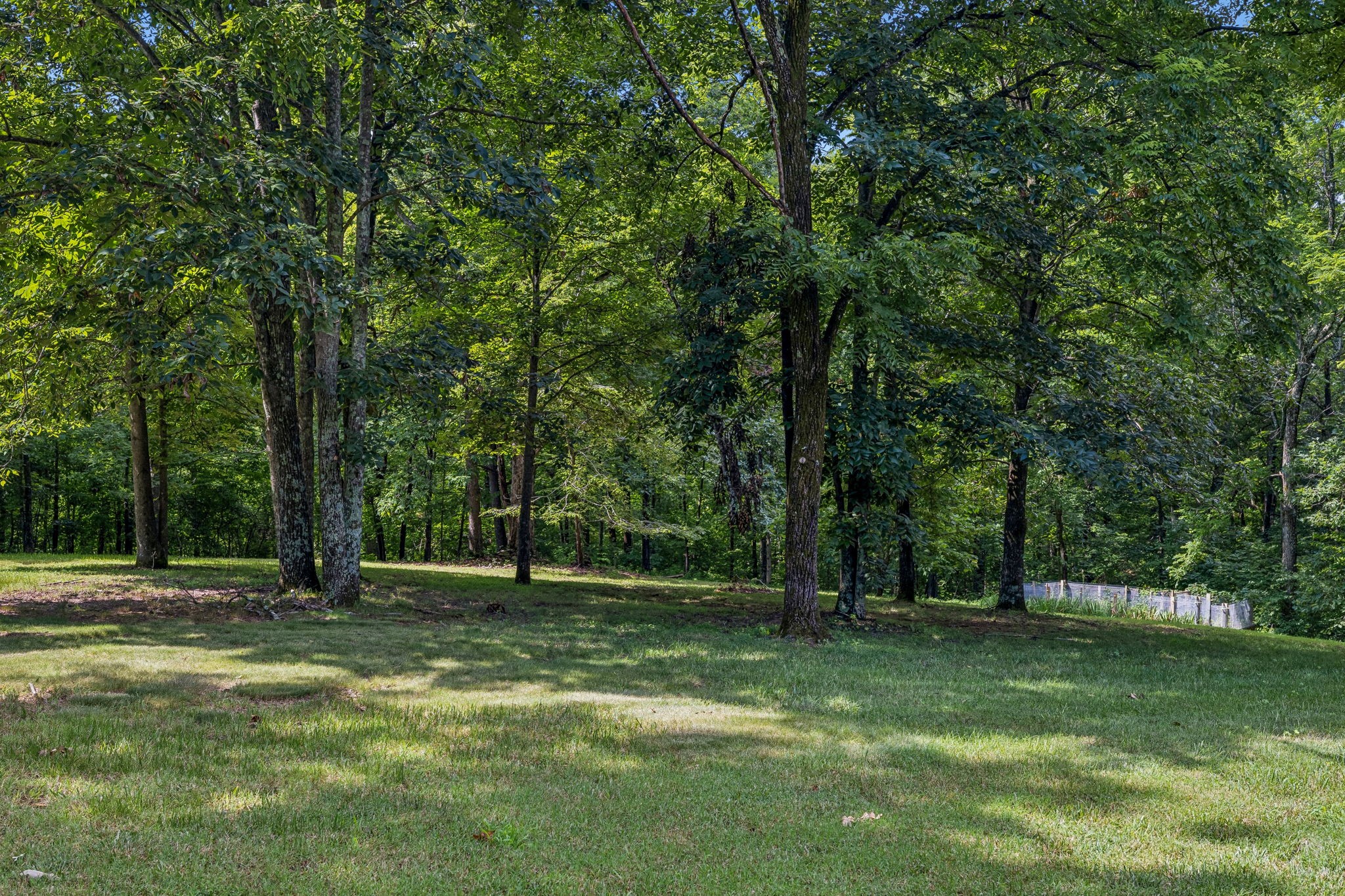 7016 Lama Terra Ct