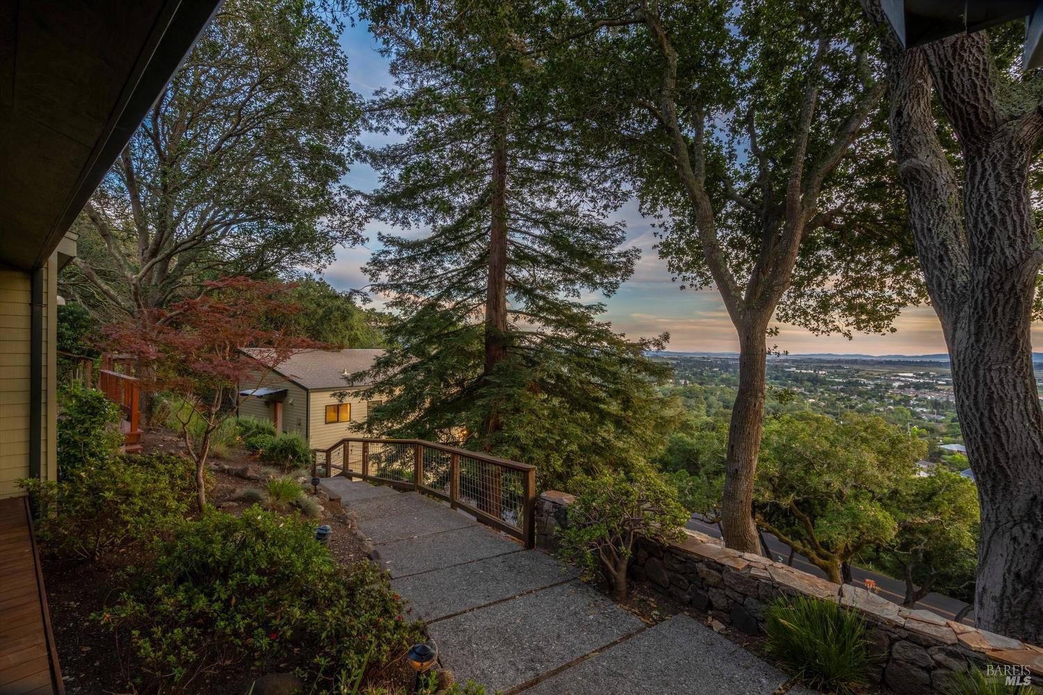 Hillside garden walkway framed by mature trees, overlooking Napa and the valley at dusk.