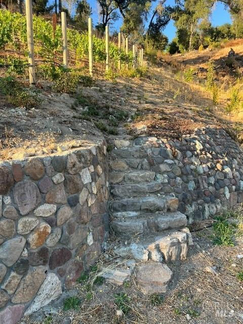 Stone steps ascend between rock walls toward vineyard rows on a dry hillside.