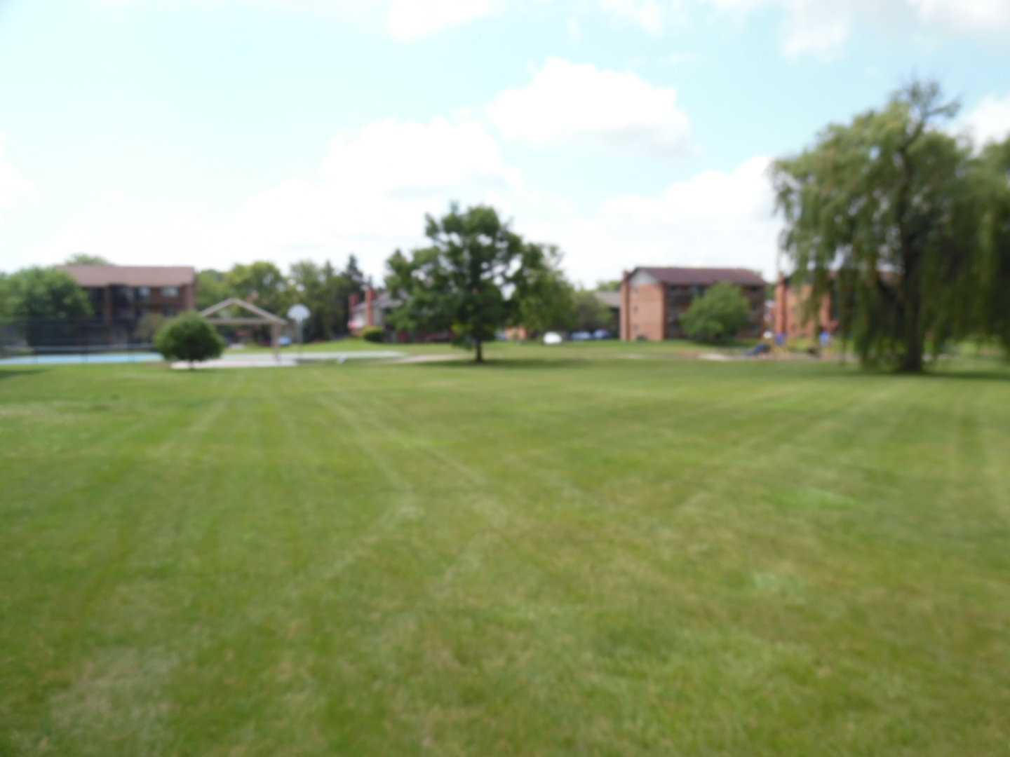 15334 Treetop Drive Unit: 2S