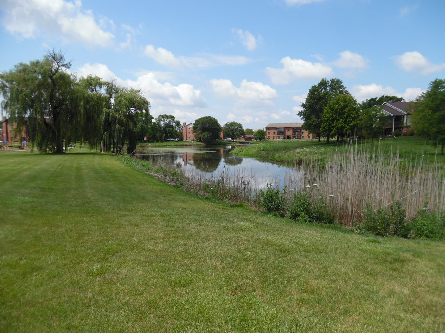 15334 Treetop Drive Unit: 2S