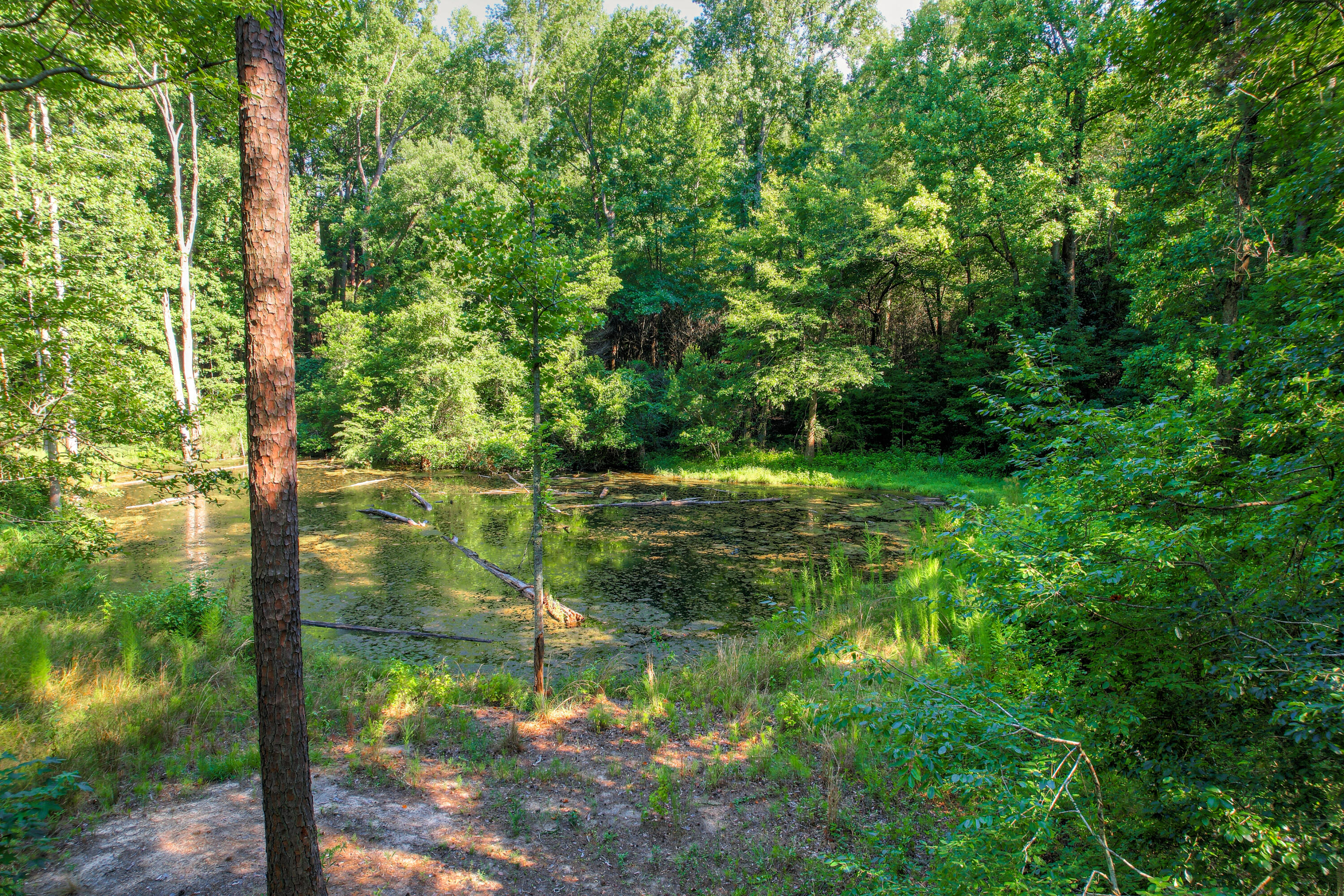 4741 RAILROAD Avenue B B