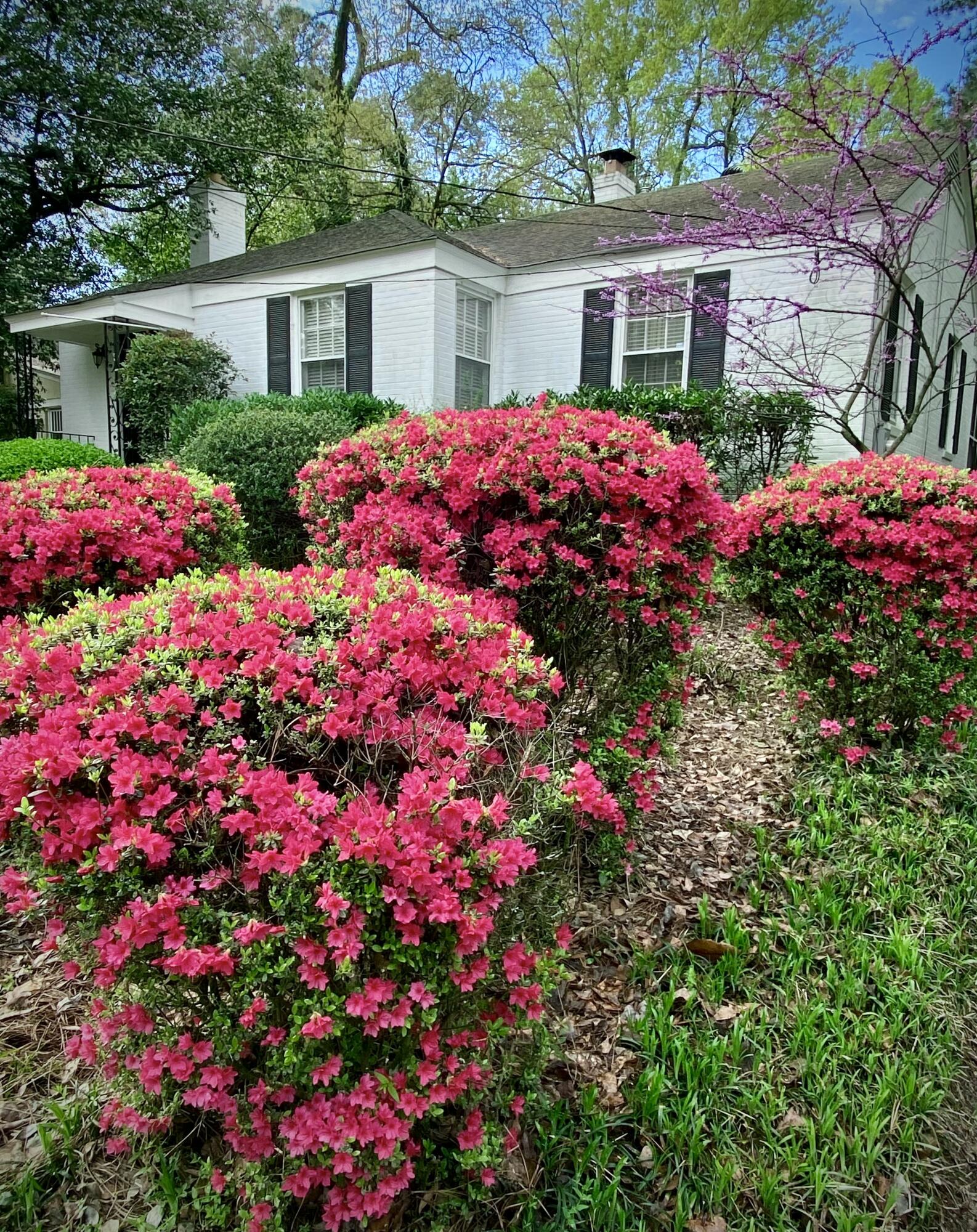 3126 Bransford Road
