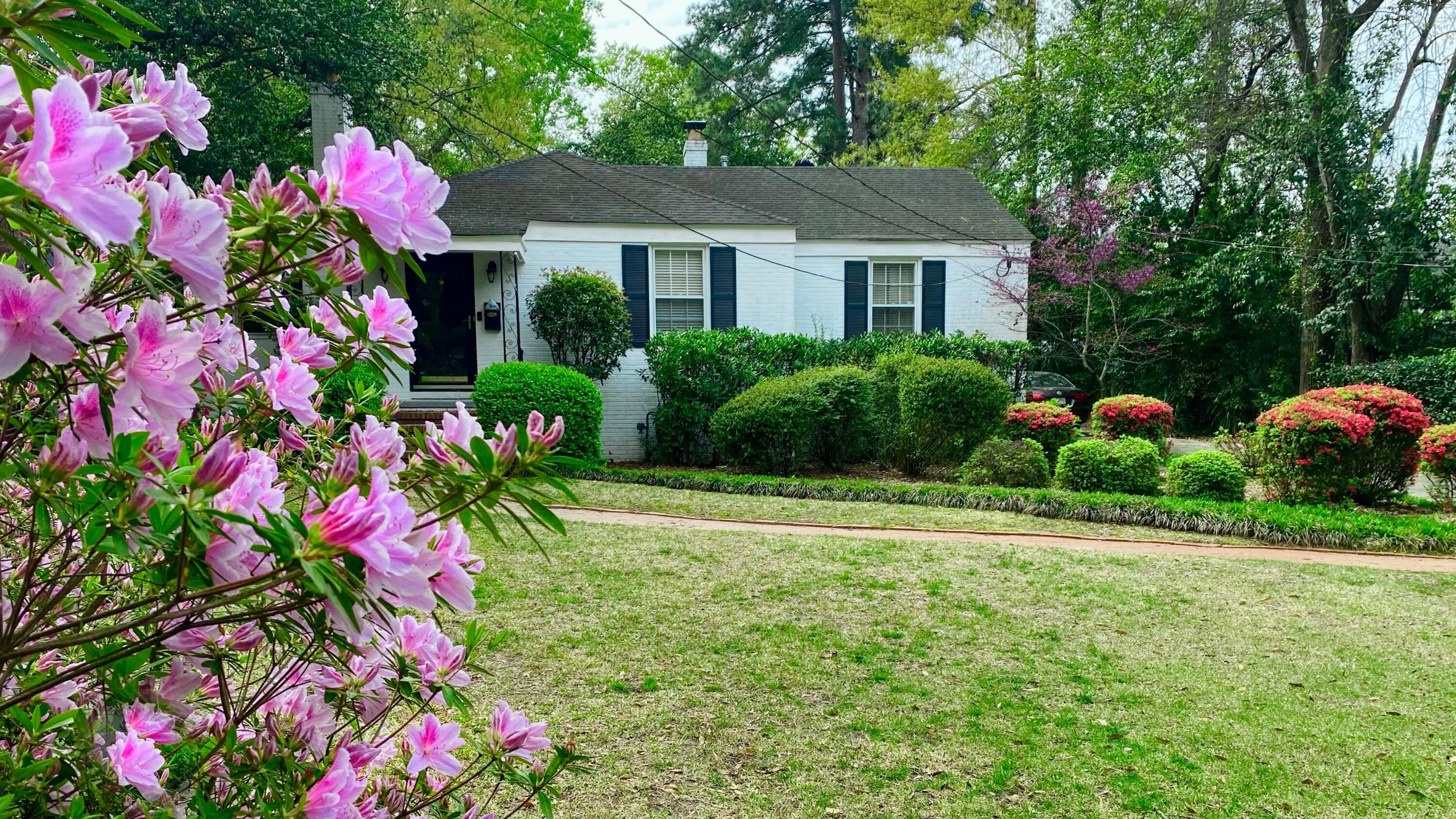 3126 Bransford Road