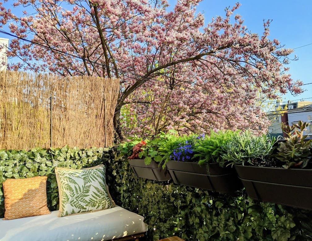 33 WAVERLY ST Unit: 2