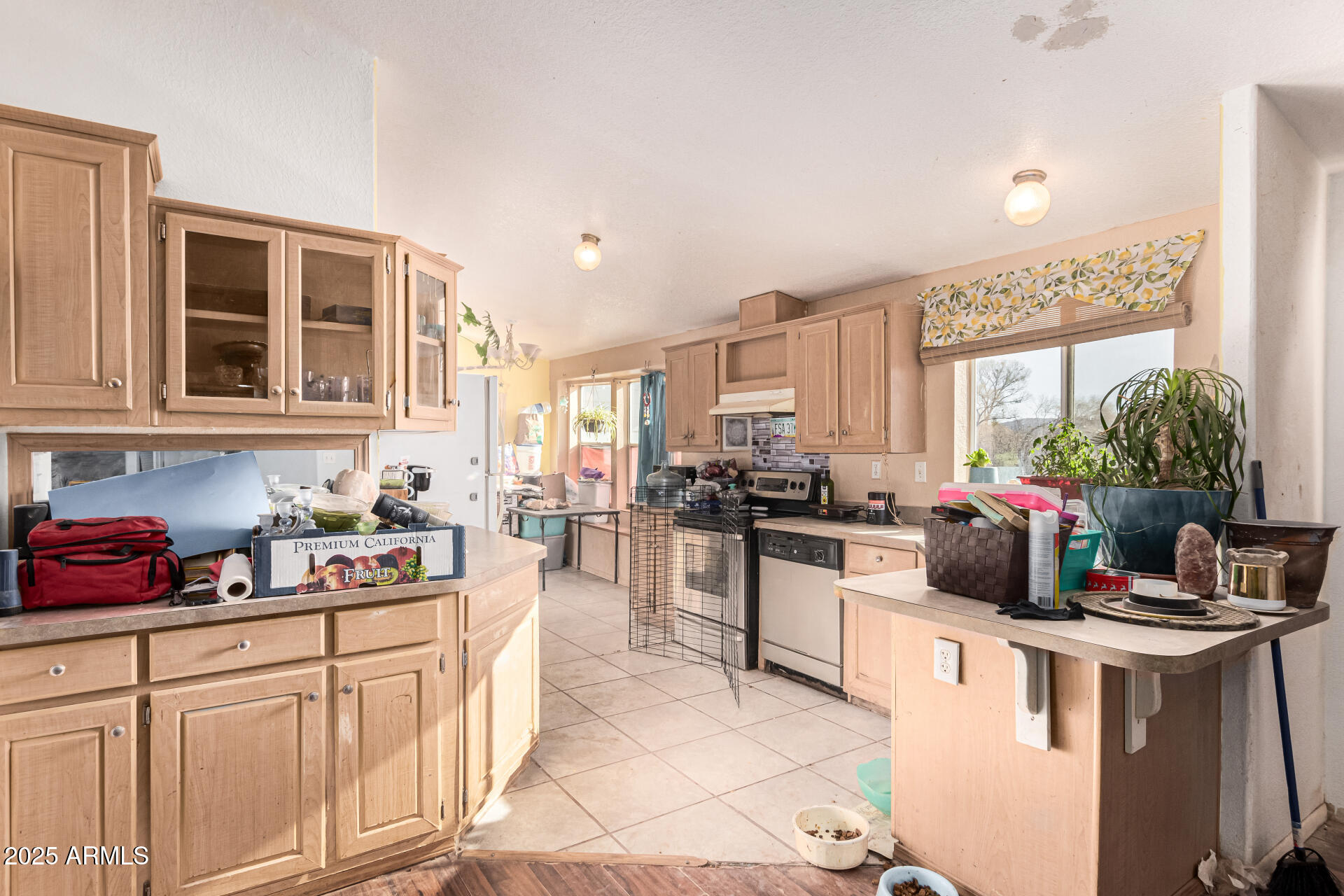 9800 E BUTTE MEADOWS Lane