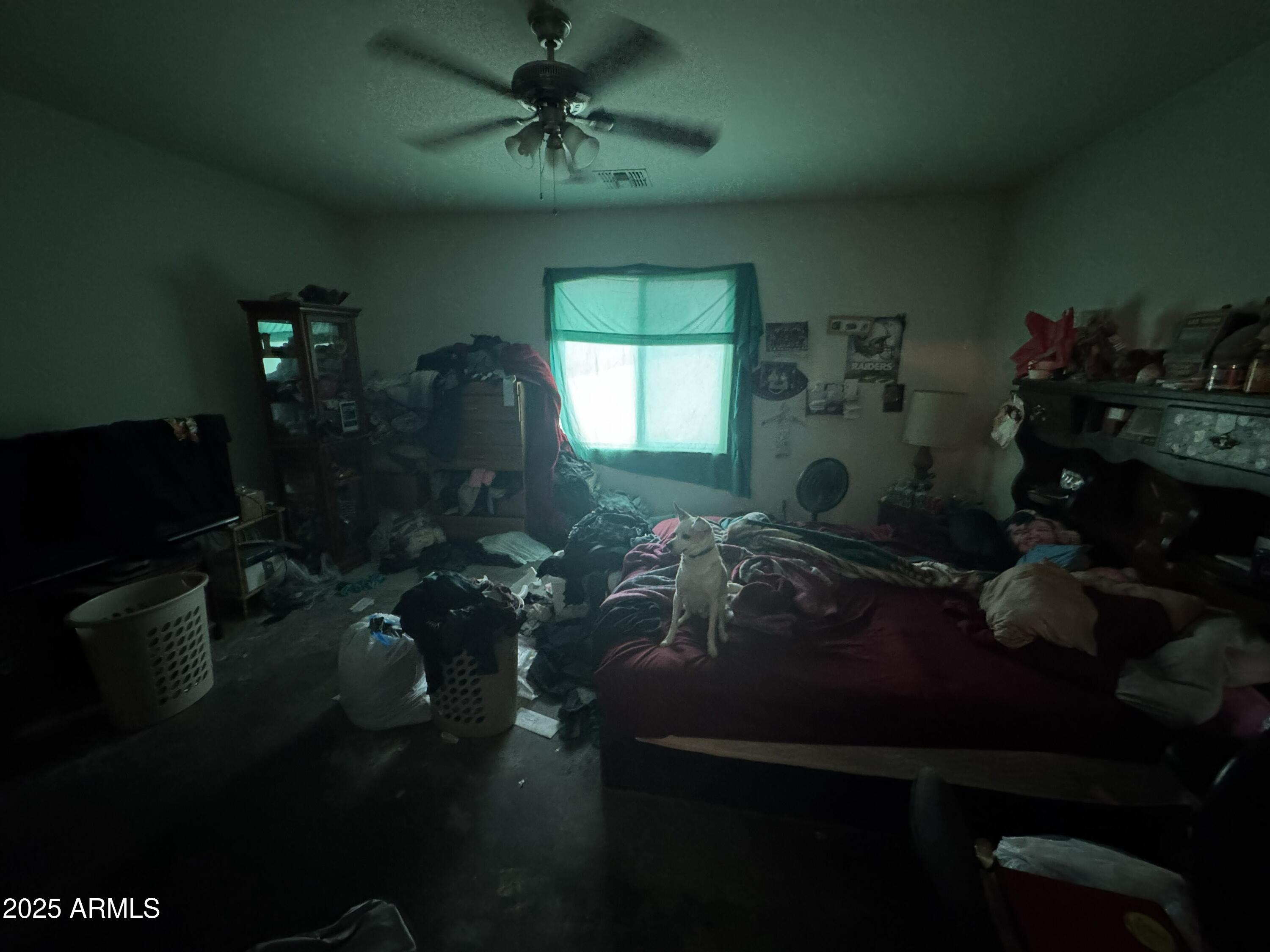 25220 W MALDONADO Drive