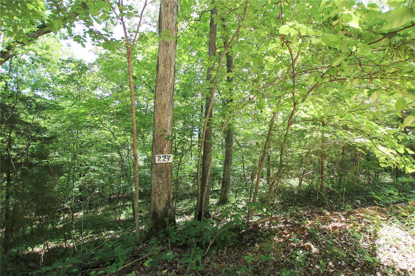 227 Anthonies Mill Road