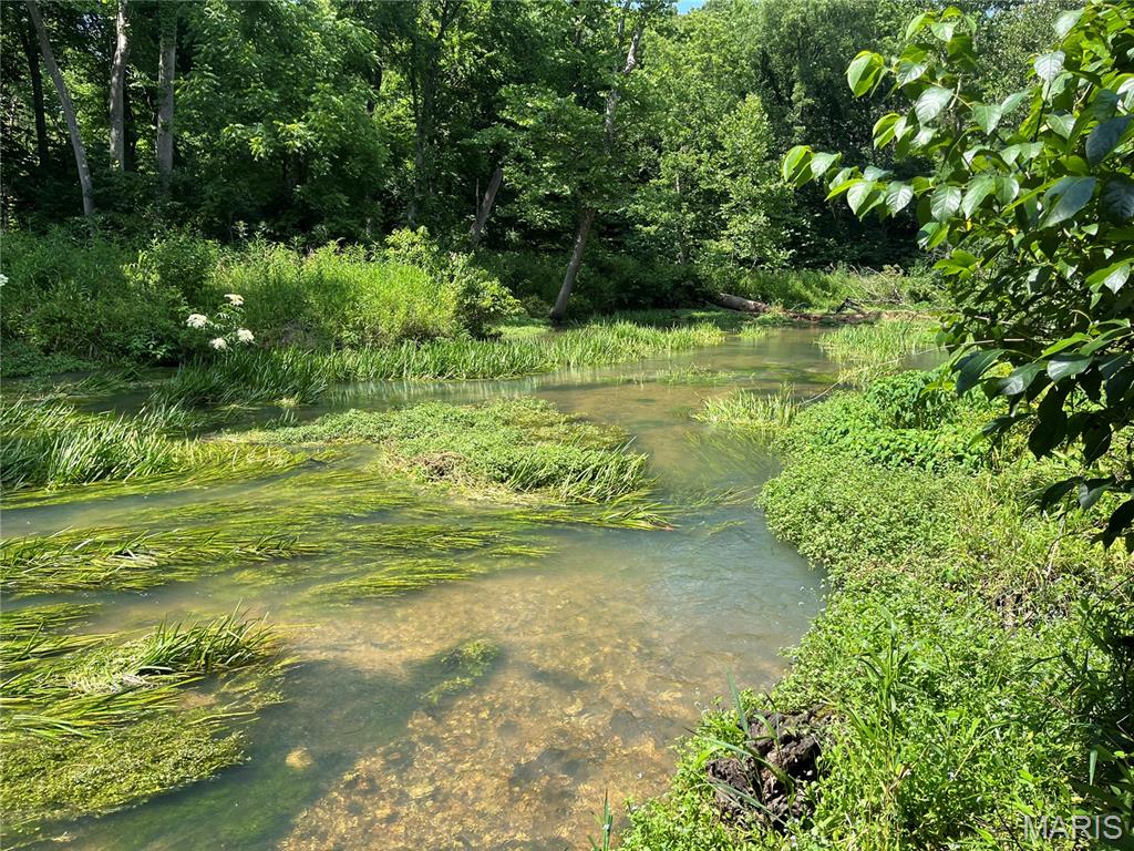 2627 Spring Creek Road