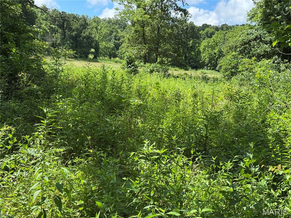 5754 Dry Branch Road
