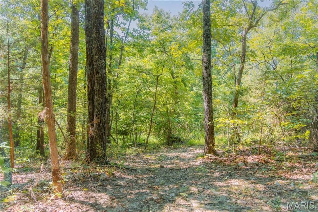 5754 Dry Branch Road