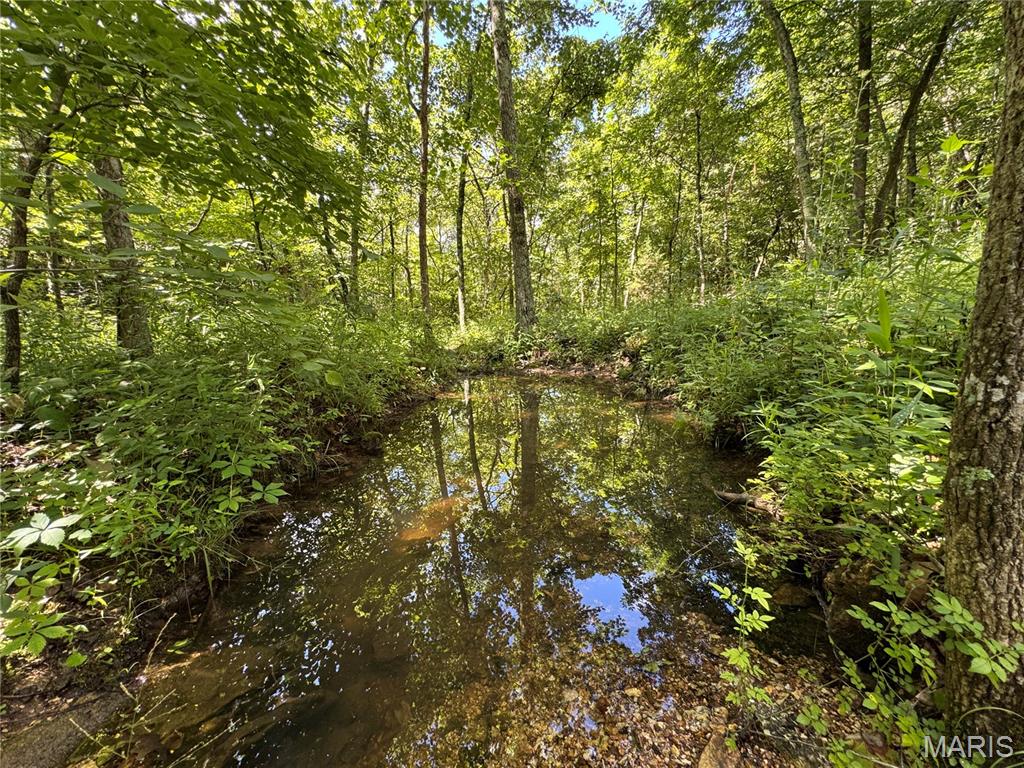 5754 Dry Branch Road