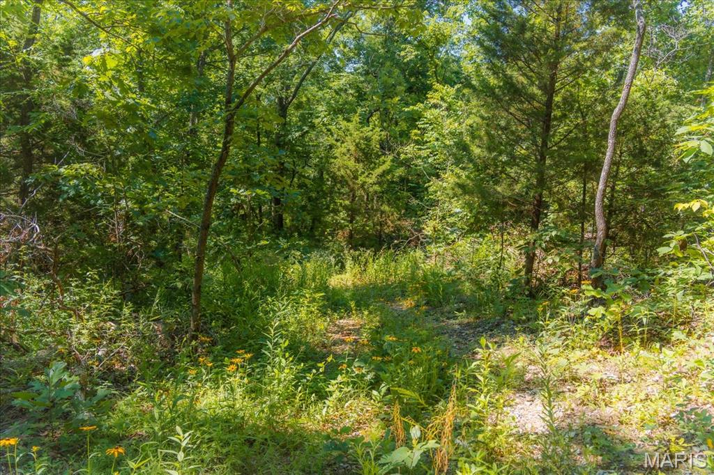5754 Dry Branch Road