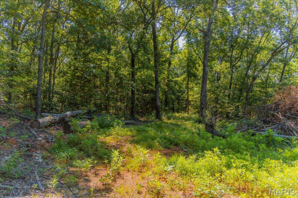 5754 Dry Branch Road