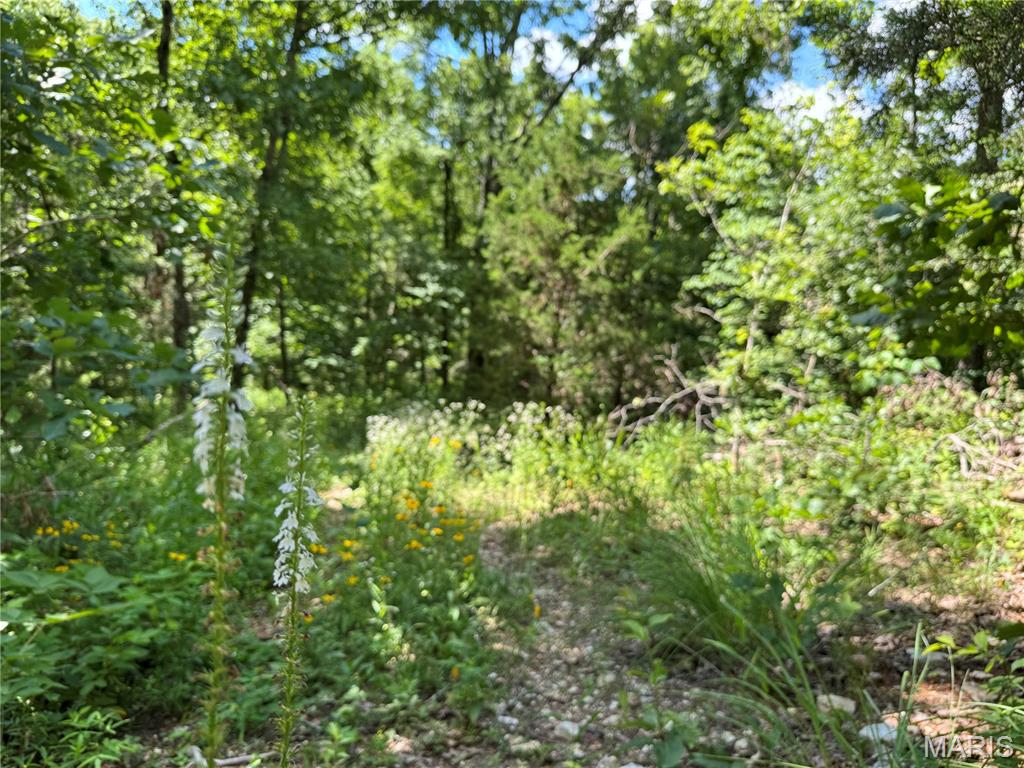 5754 Dry Branch Road