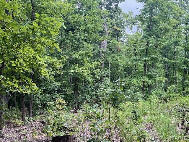 266 Bridle Trail Drive