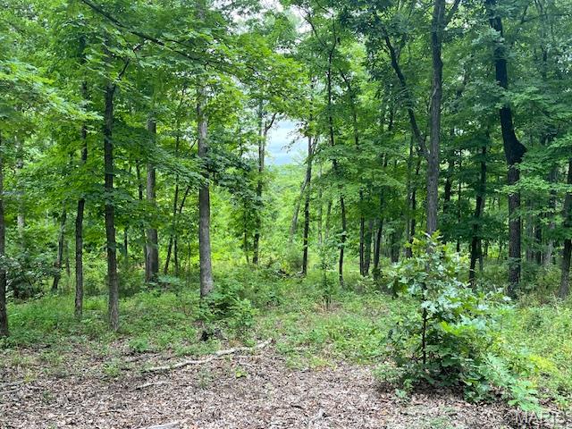 266 Bridle Trail Drive