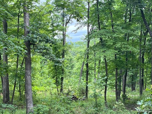 266 Bridle Trail Drive