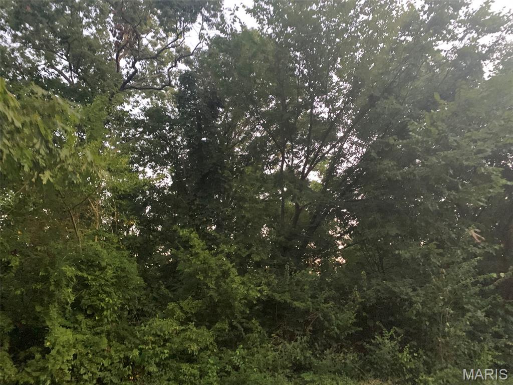 2+/- acres Ferdinand Street