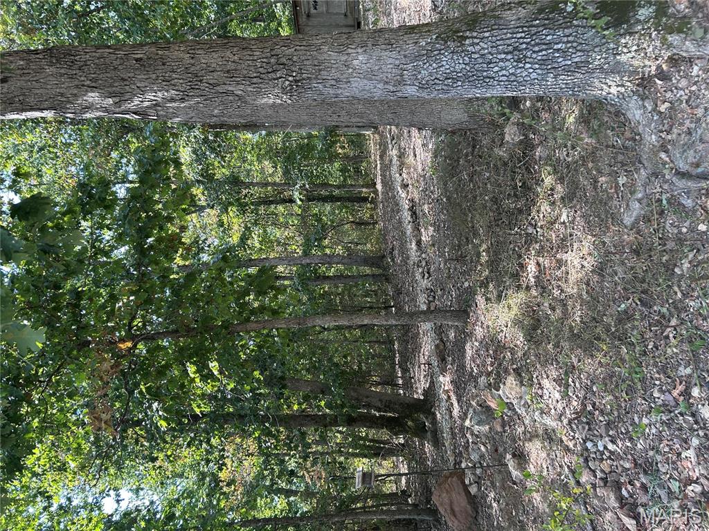 266 Pine Valley Lane