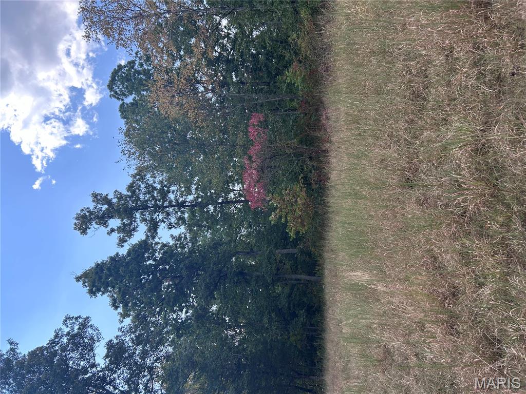 266 Pine Valley Lane